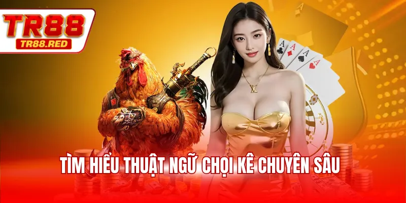 Tìm hiểu thuật ngữ chọi kê chuyên sâu